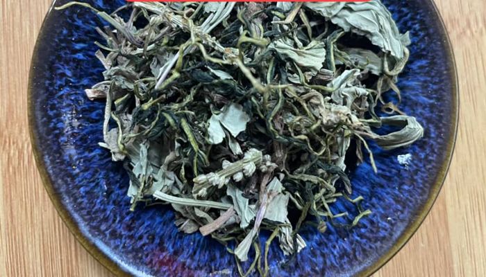 Bladder Tea