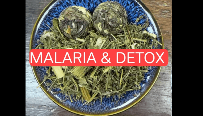 Immune Natural Herbal Tea