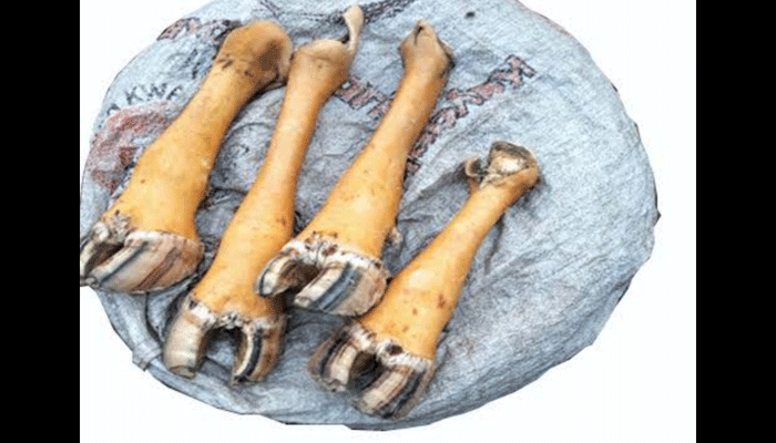Cow Leg Dish