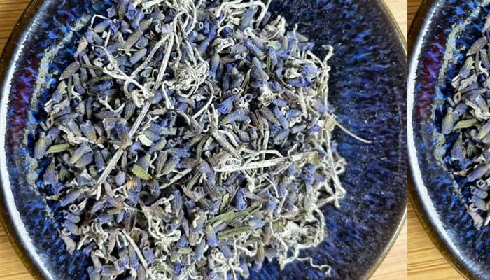 Sleep Tea